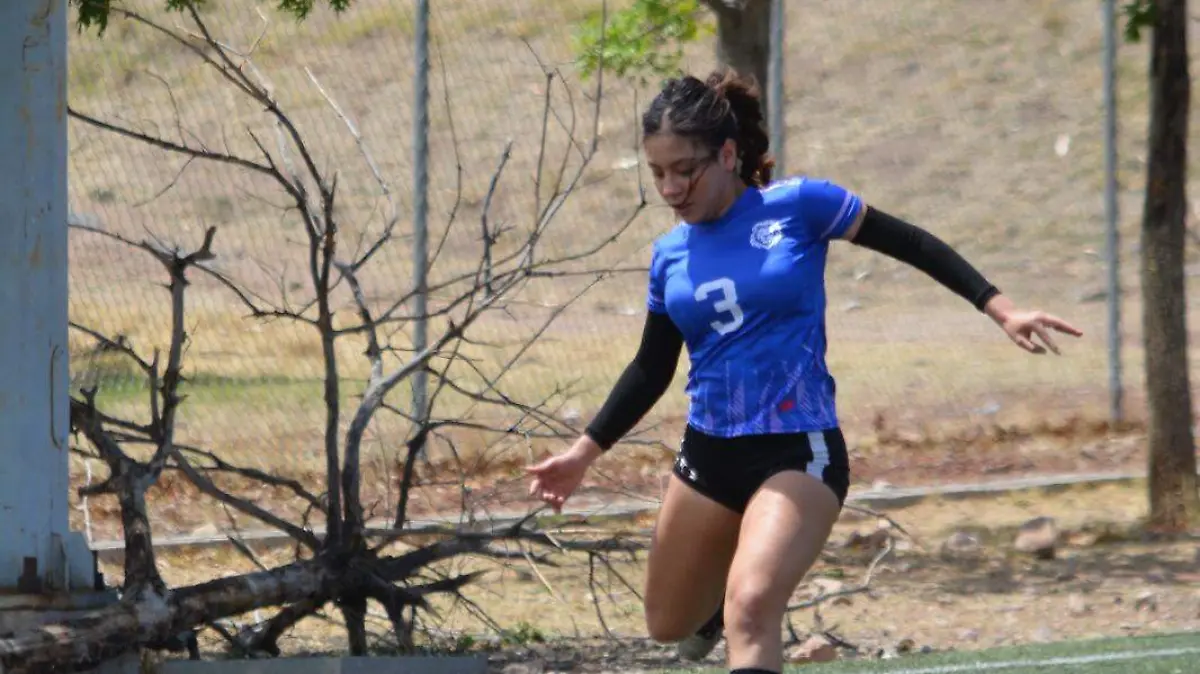 2b0e1a9e-b567-4e36-b992-197193f40a30