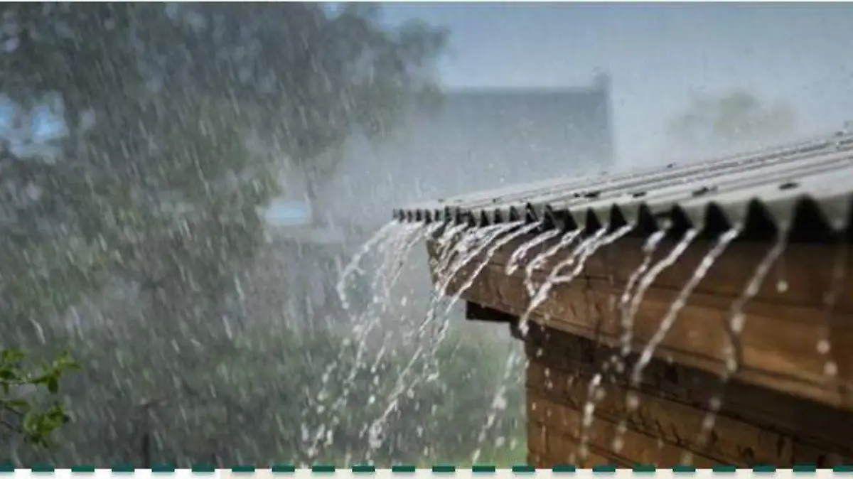 Lluvias en el estado