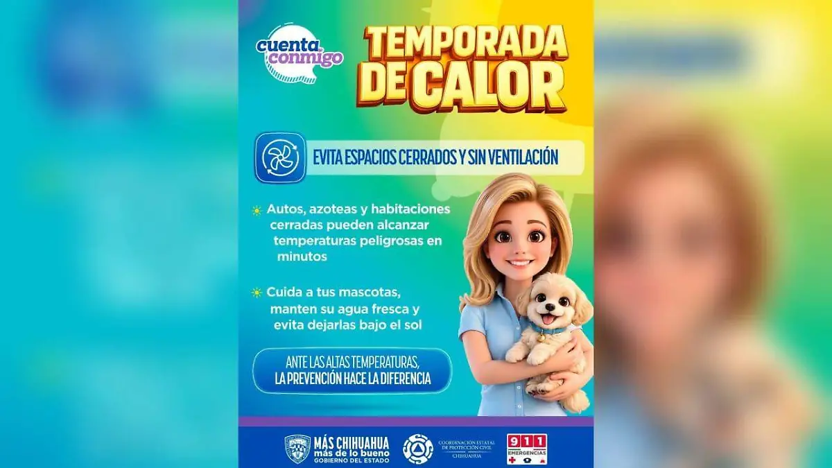 Maru y mascotas
