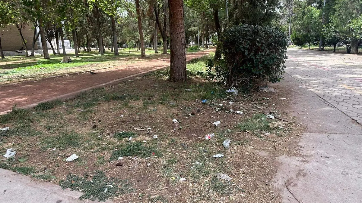 Abandono en la Deportiva (1)
