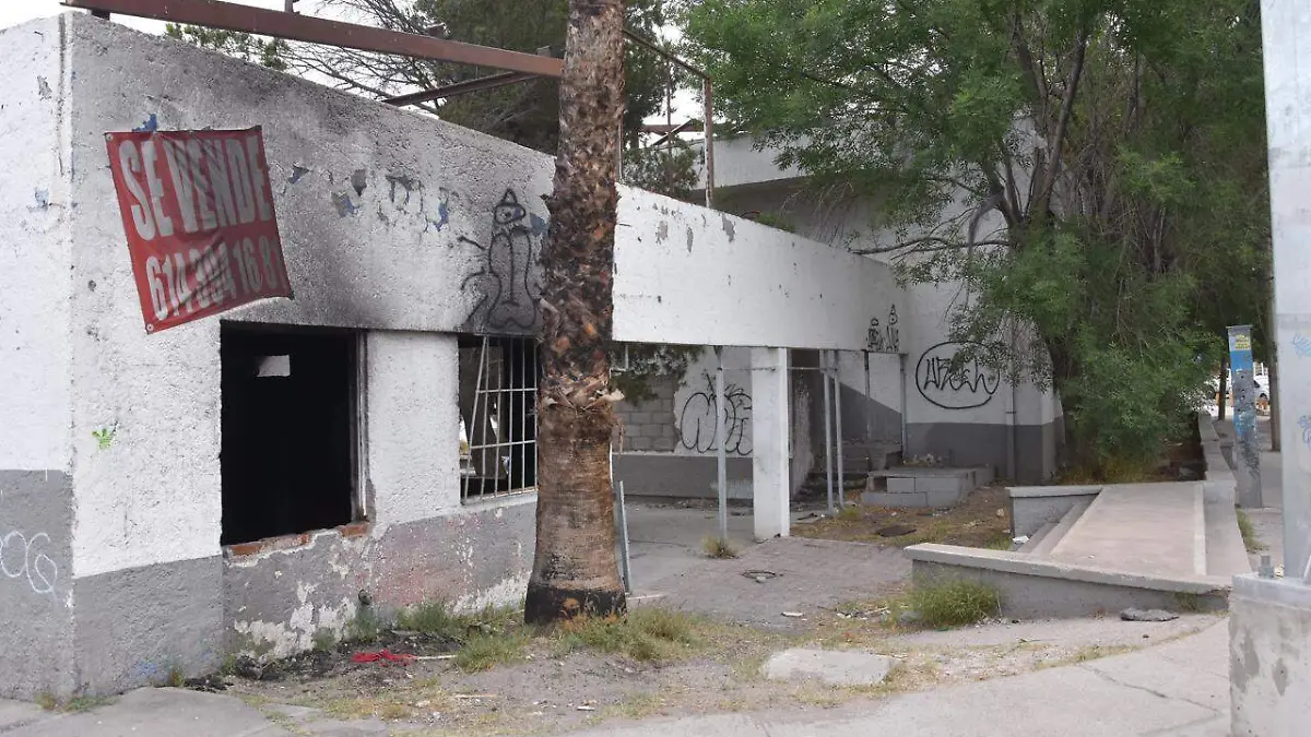 Abandono en Deportivo de la Marmol (2)