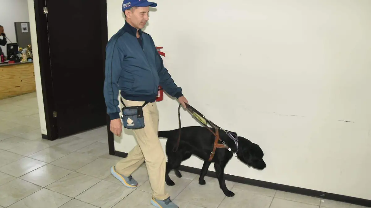 Perro guía