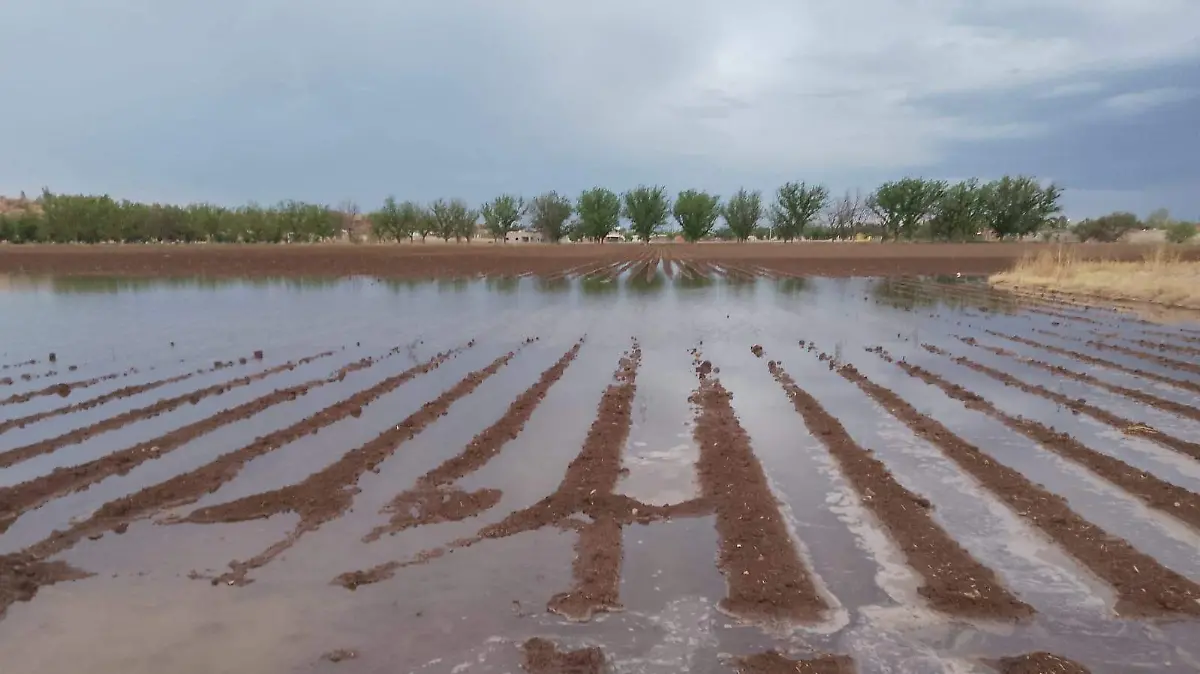 Campo riego
