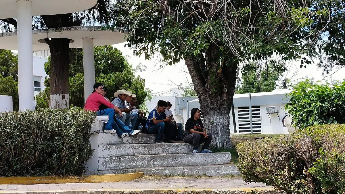 Simpatizantes de Morena (3)