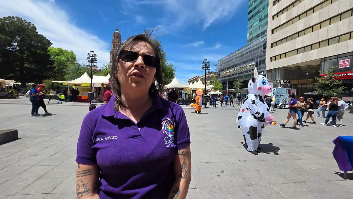 Comité de la Diversidad Sexual