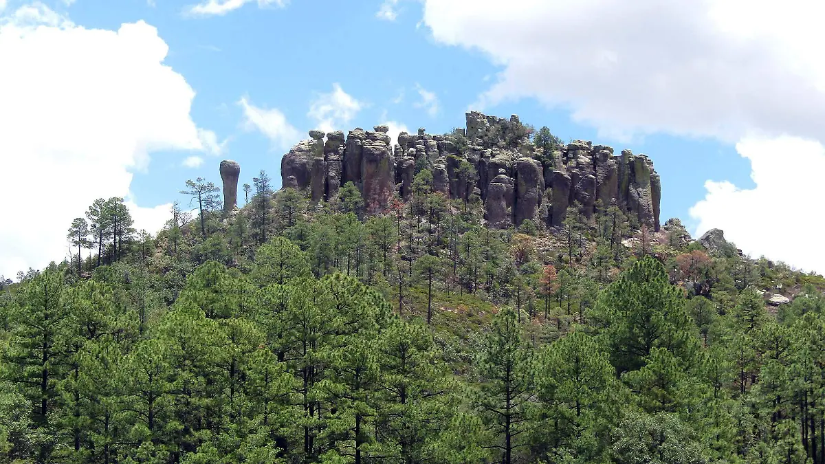 Campo_Verde_ANP_2