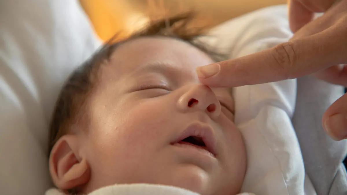 pexels-mohamad-mekawi-74909946-10616179