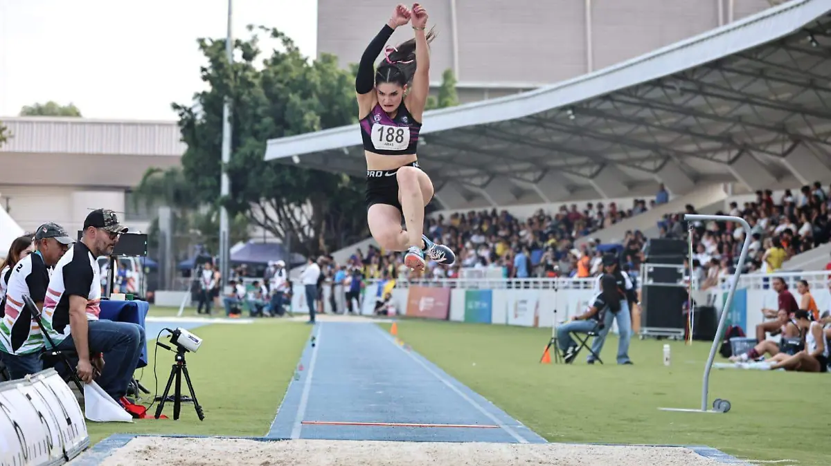 BRONCE MARIANA ARIAS