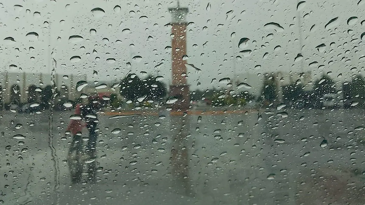 LLUVIA DELICIAS