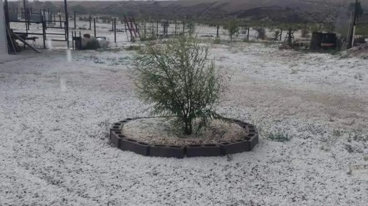 granizo cuauh