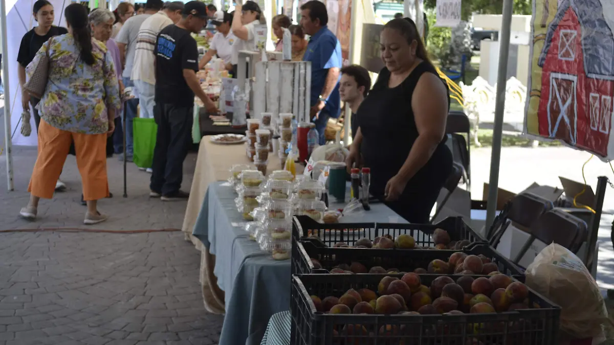 Puestos plaza