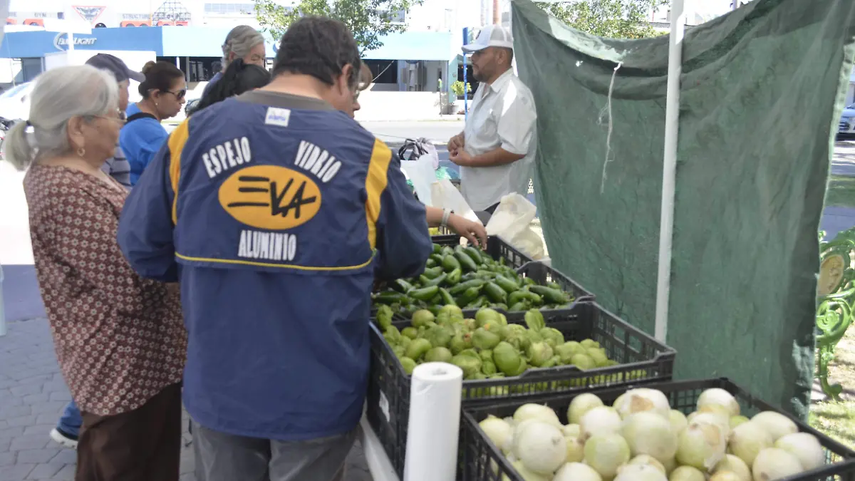 Venta directa de hortalizas