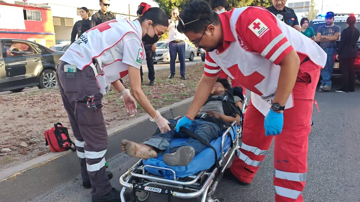 Atropellado en la Silvestre Terrazas