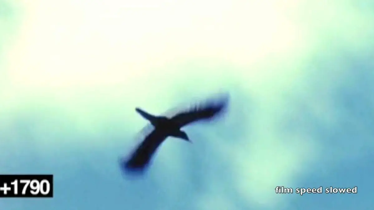 Captura de pantalla 2026-06-16 220046