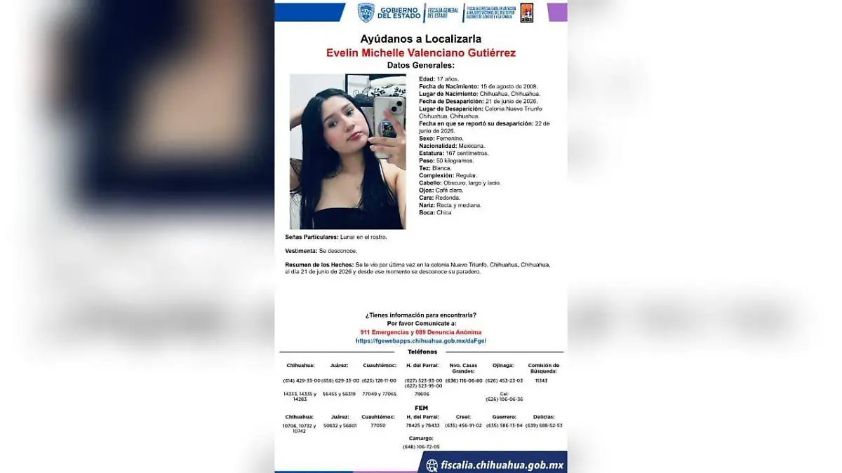 pesquisa Evelin Michelle