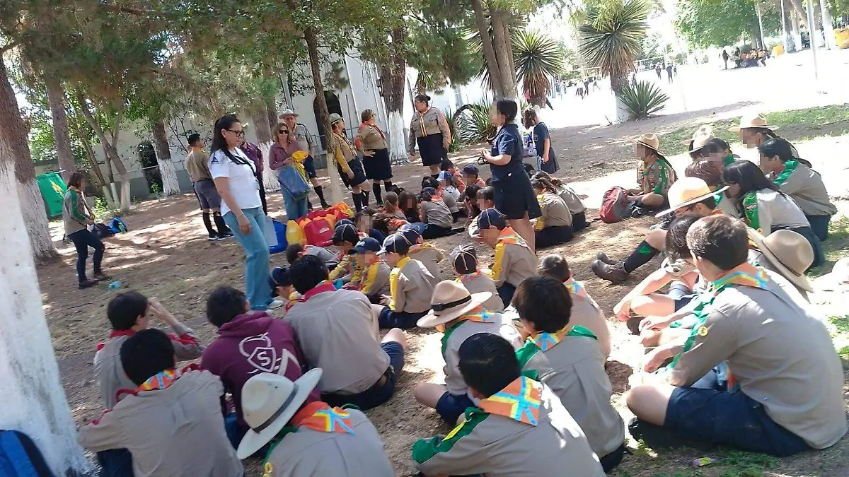scout antares