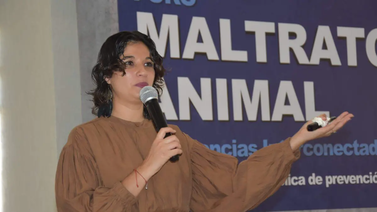 Sara Chagolla (1)