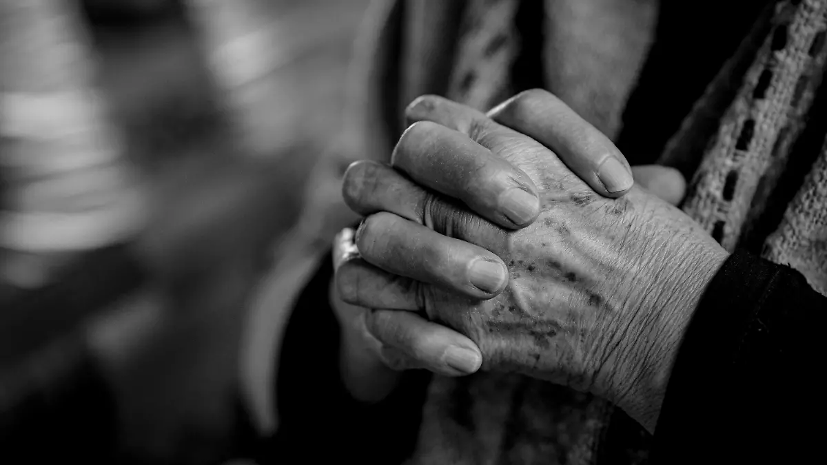 pexels-nataliaolivera-31295144