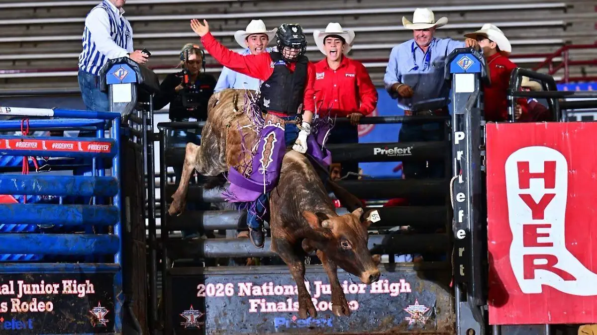 Rodeo jineteo