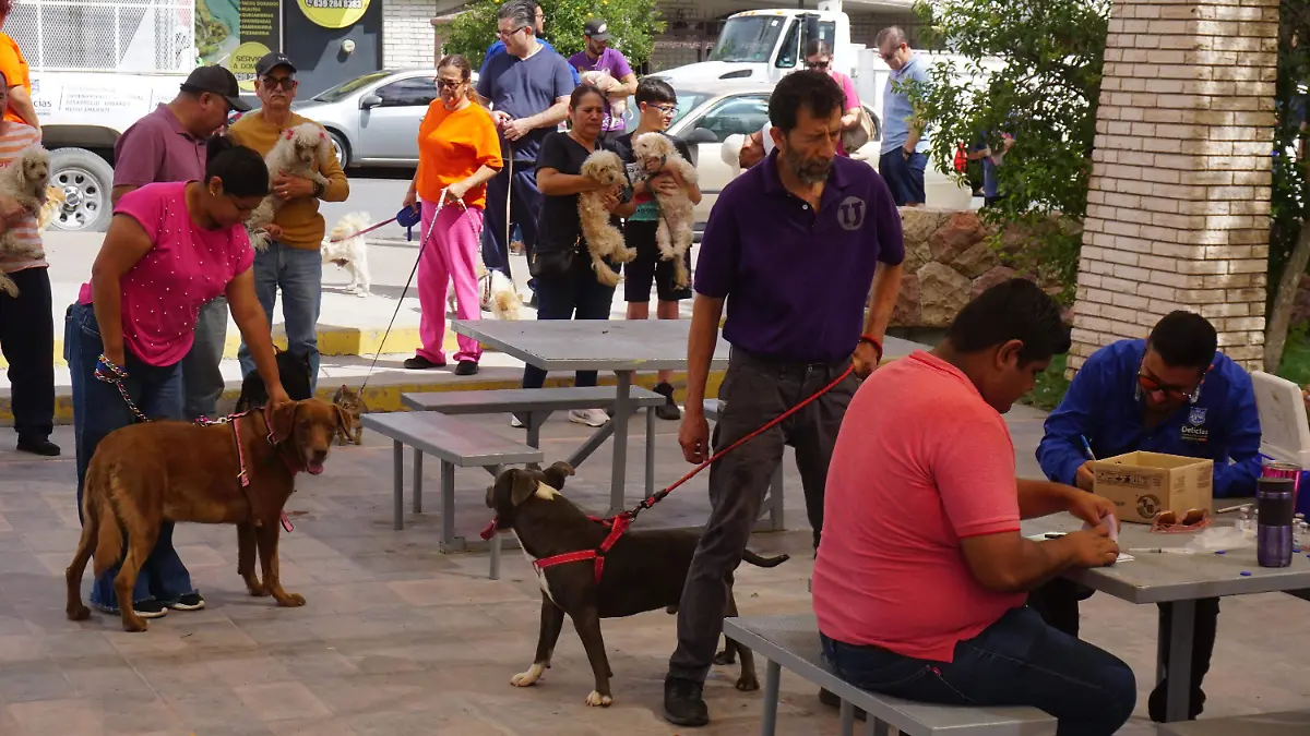 CAMPAÑA DE VACUNACIÓN