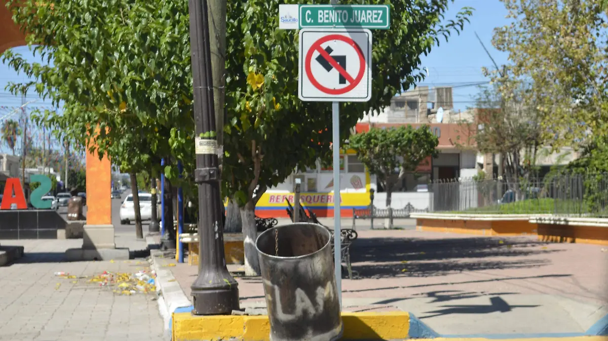 Bote de basura Saucillo