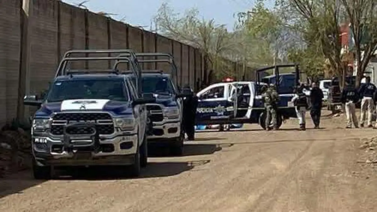 asesinato cuchilla