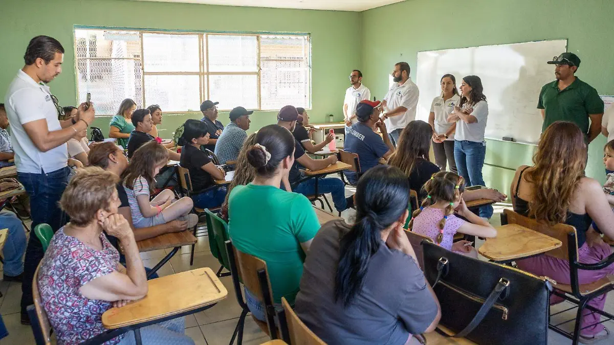 consejo participacion ciudadana