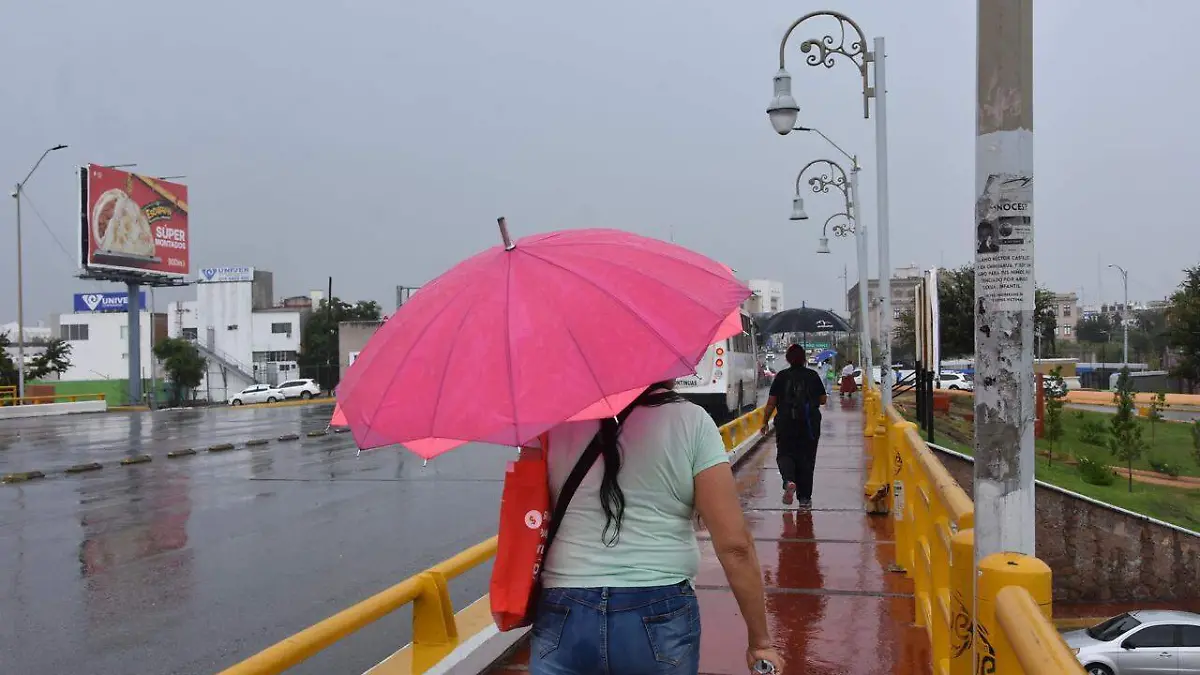 Lluvias en la capital  (3)