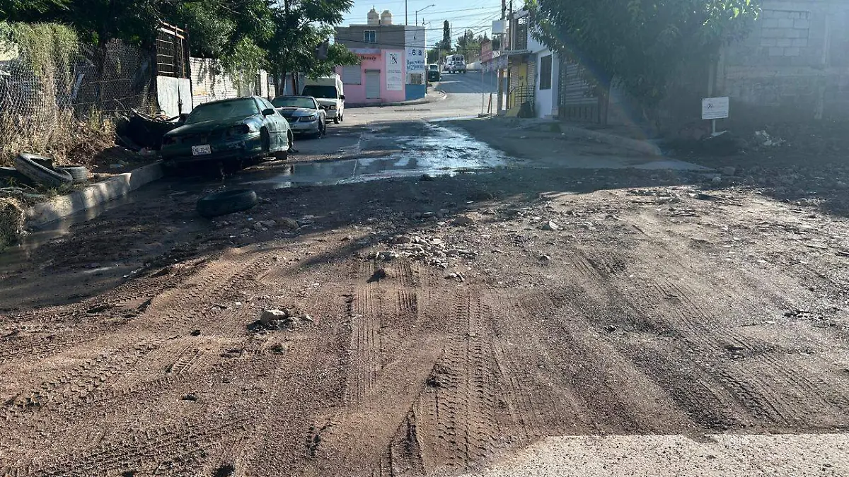 Lodo y basura en Valle de la Madrid (1)