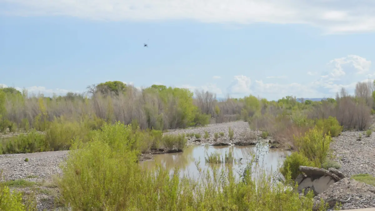 Río San Pedro