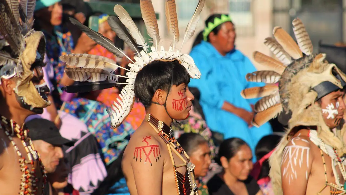 FESTIVAL OMÁWARI