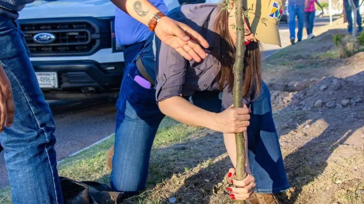 REFORESTACIÓN MEOQUI
