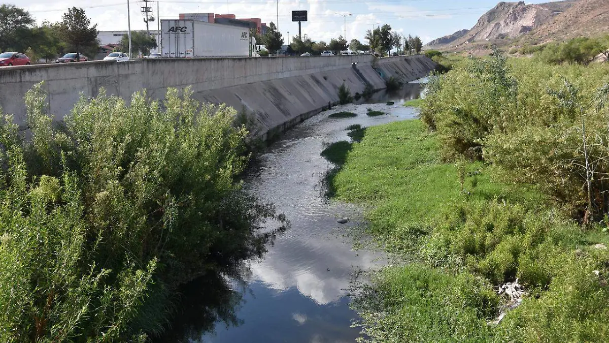 Río Sacramento (3)