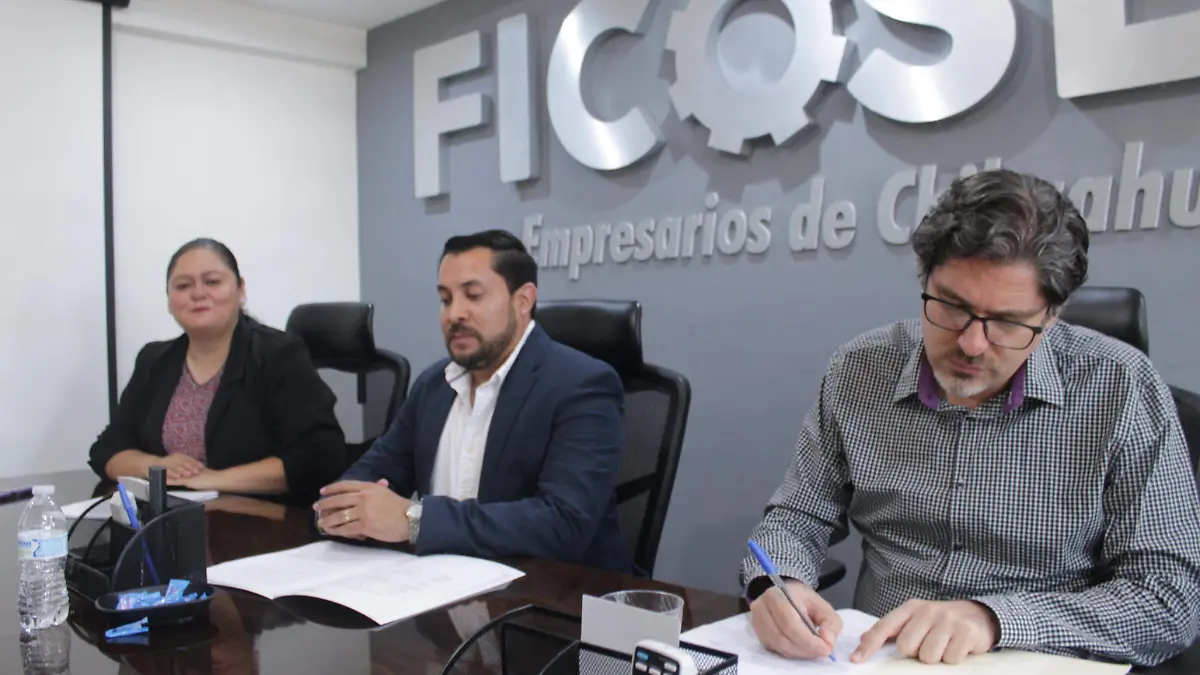Ficosec proyecto violencia