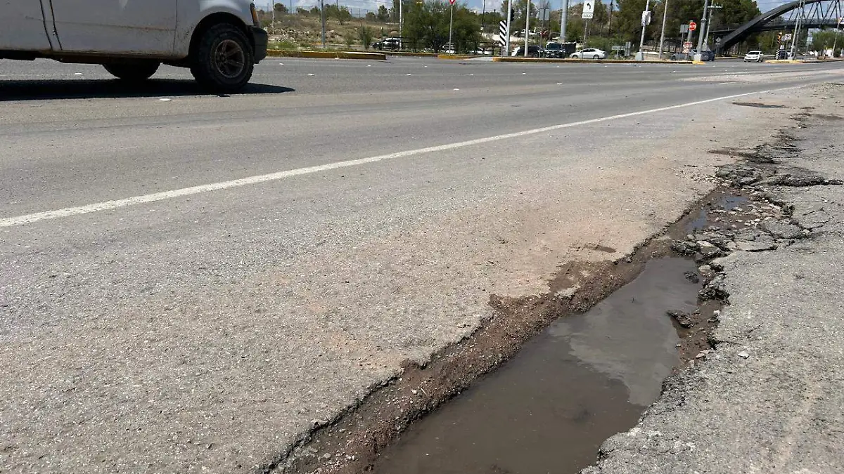 Baches en El Reliz (3)