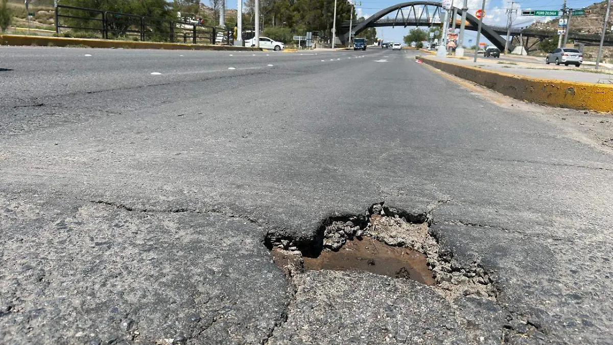 Baches en El Reliz (1)