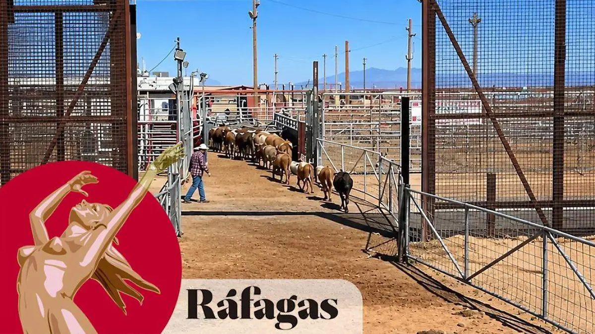 RAFAGAS OK25jjulio26