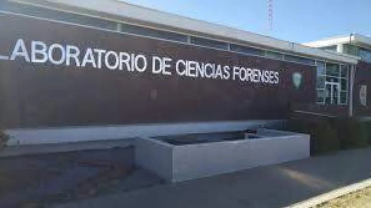 semefo