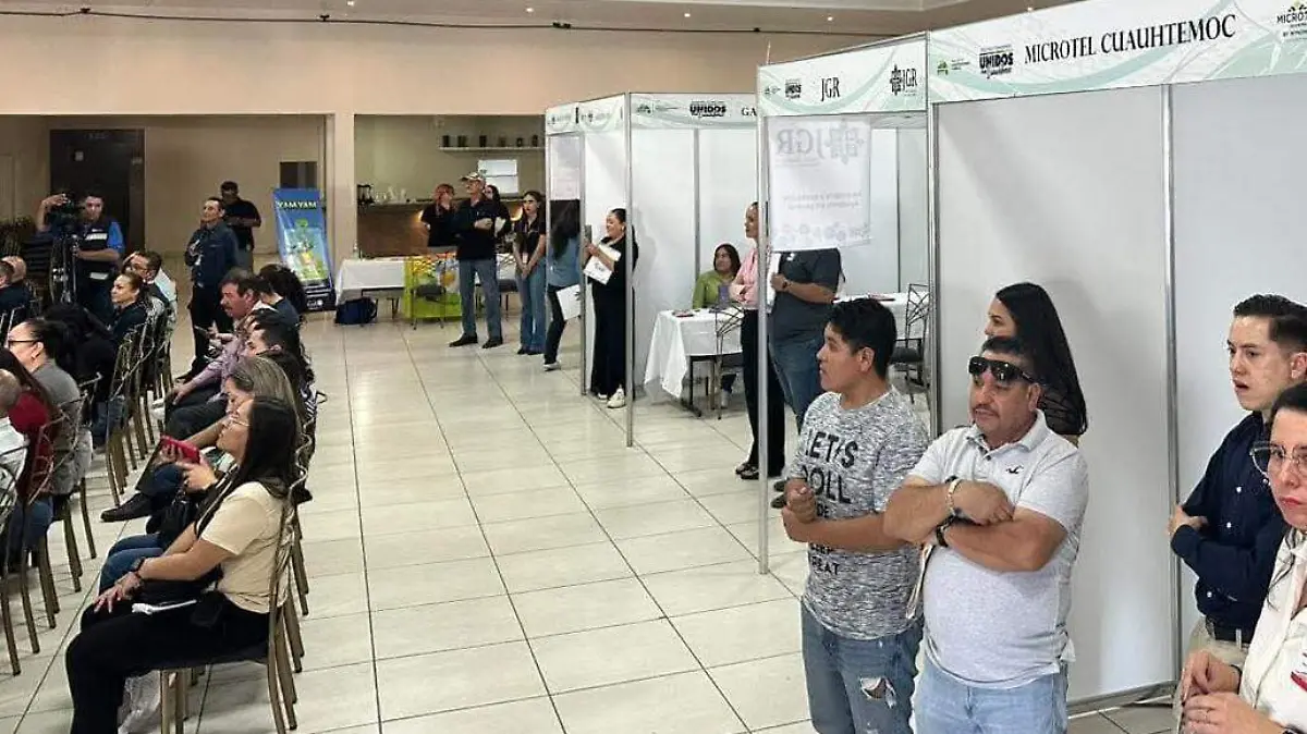 feria del empleo