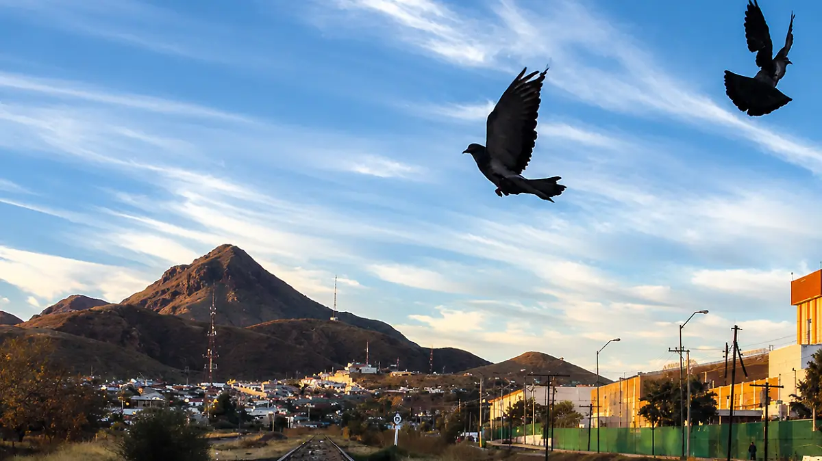 foto cortesía casa chihuahua