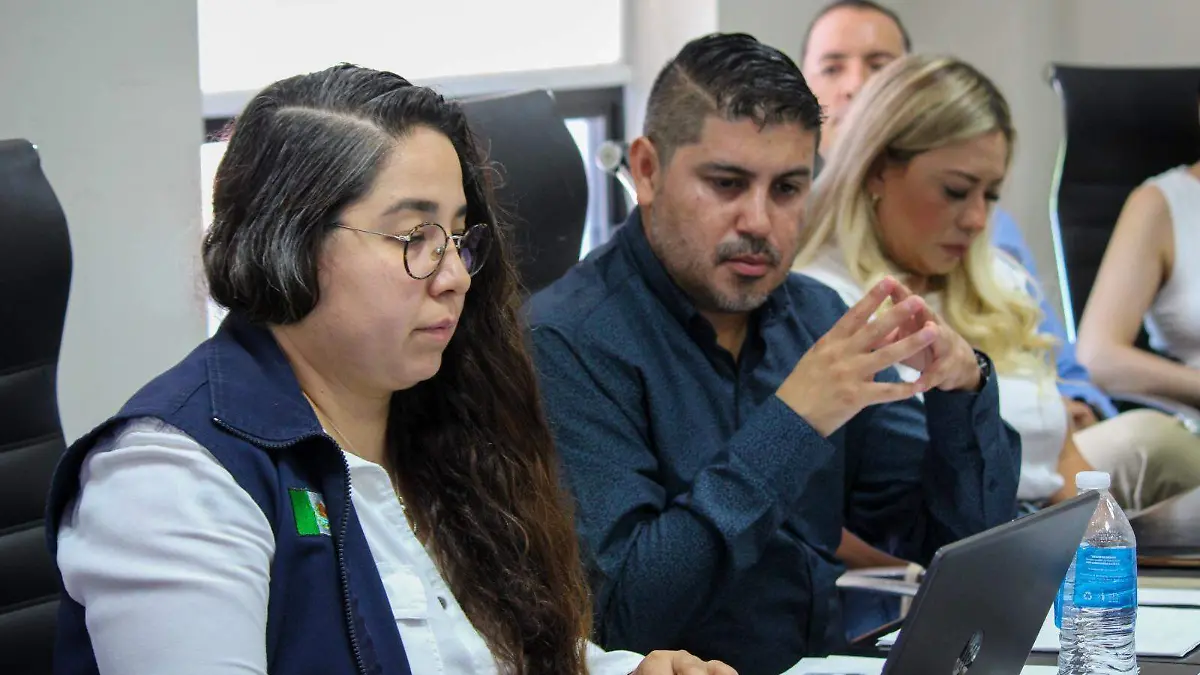 Verificación Patrimonial 2026 (2)