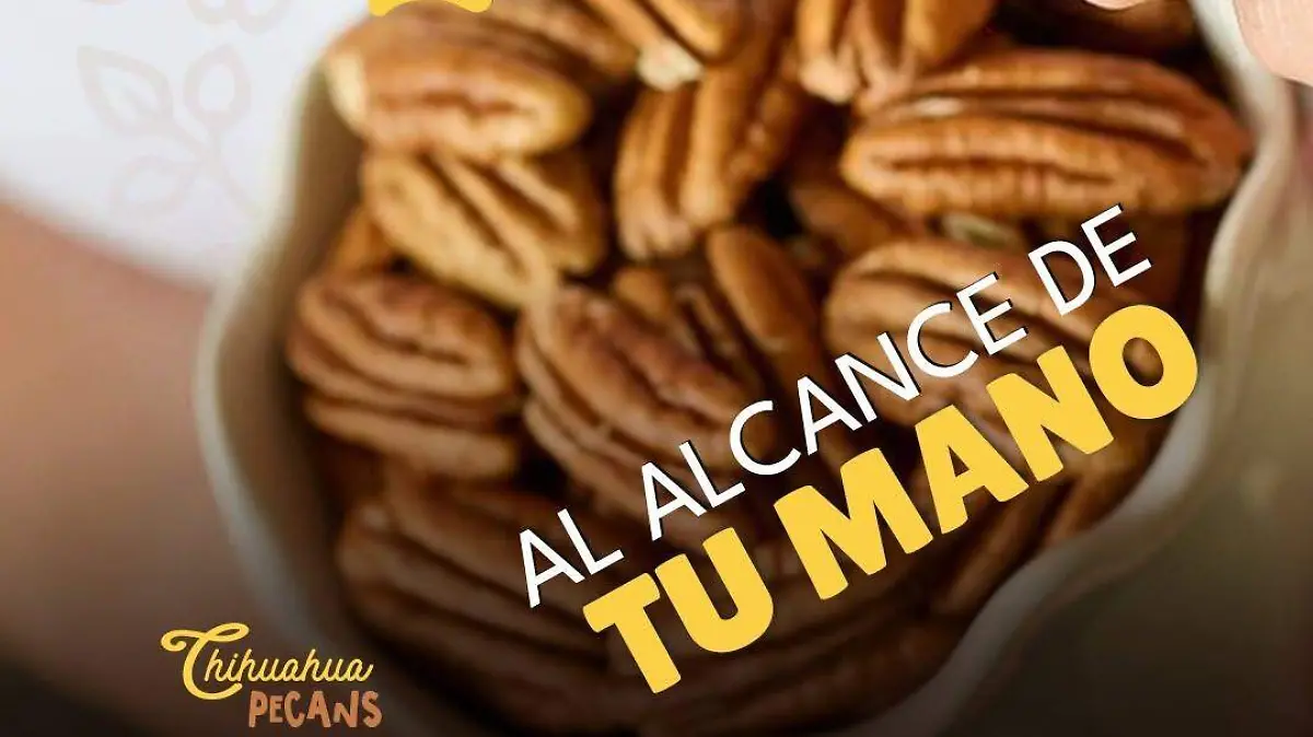 Campaña Chihuahua Pecans