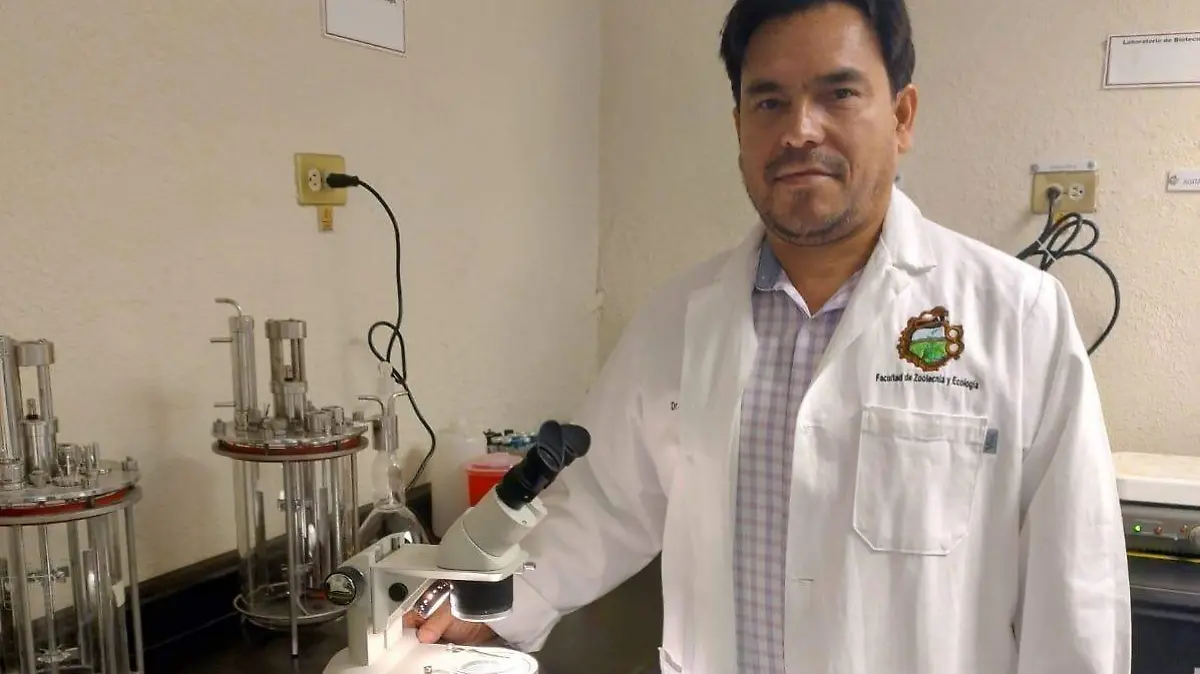 37299