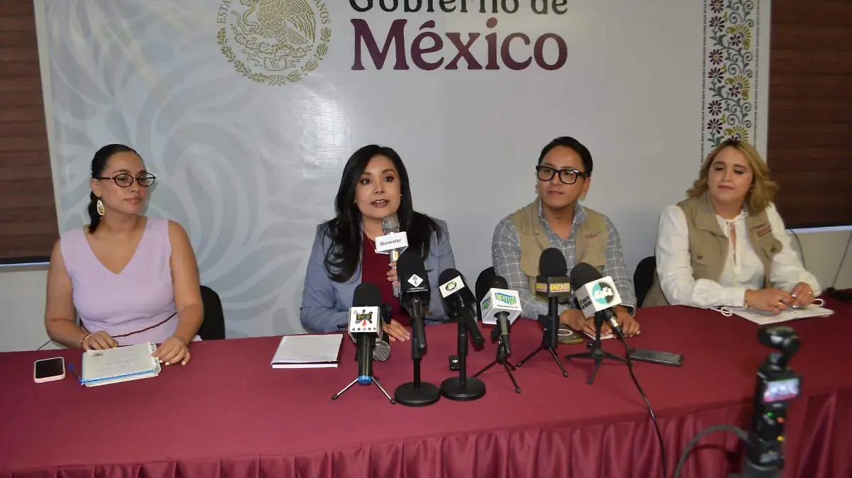 Pensión Bienestar