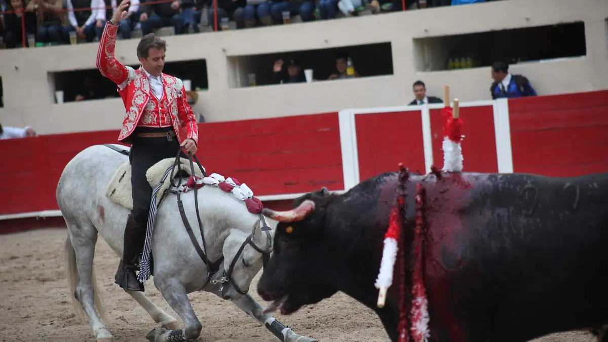 --byn pleitescia