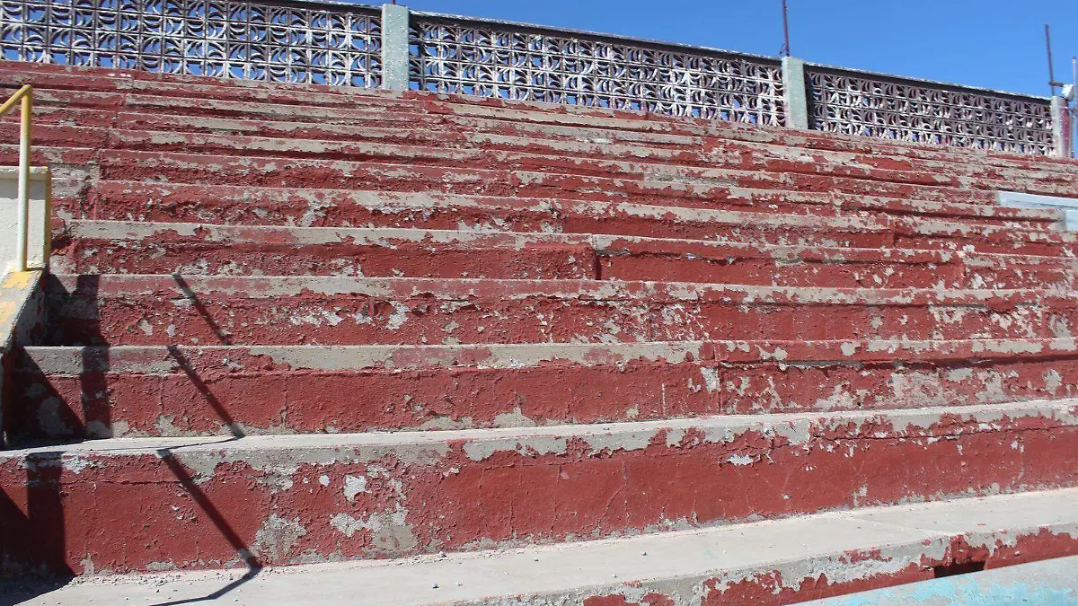 byn estadio 20 de nov. y canales lira. olga casas (4)