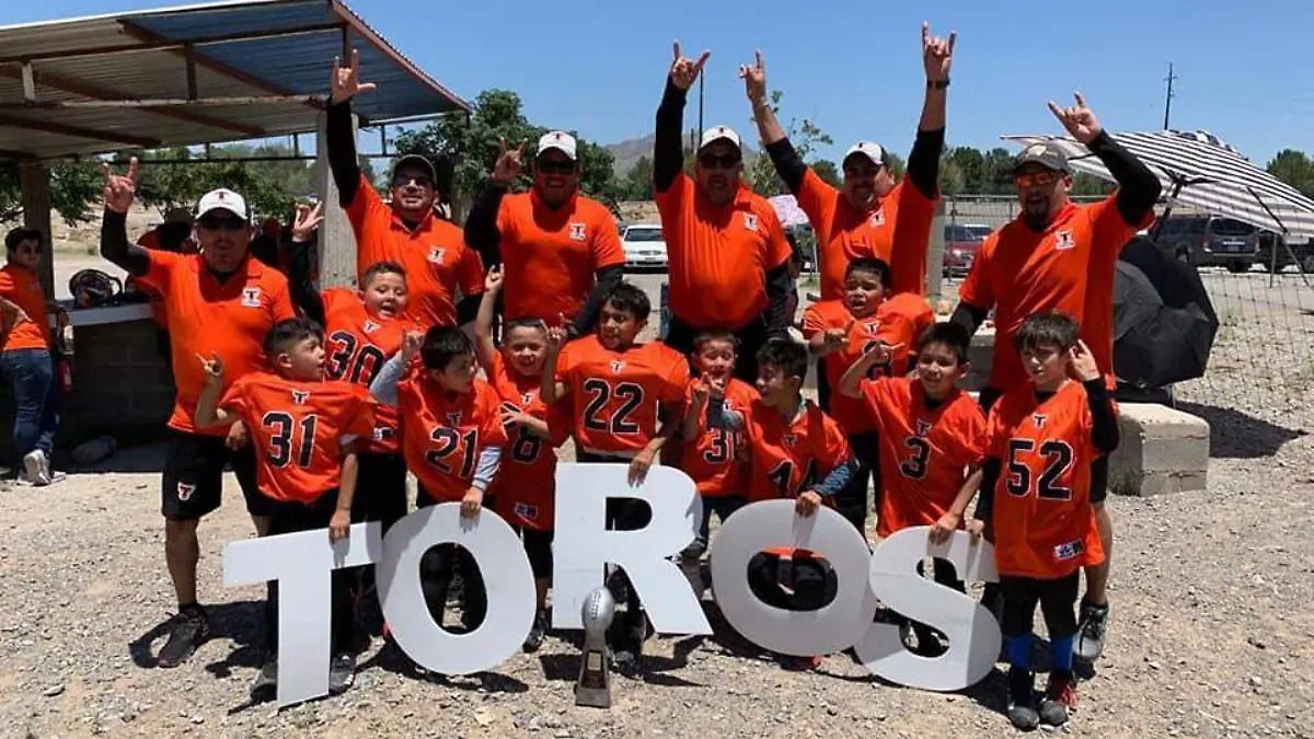 Toros campeones