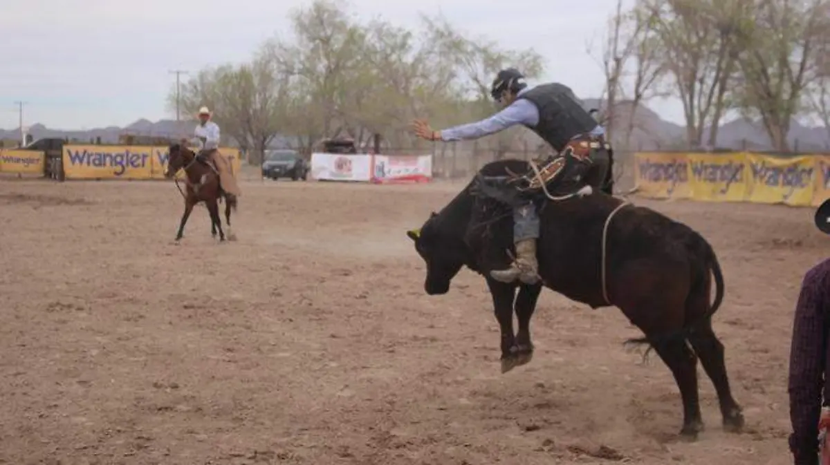 Rodeo