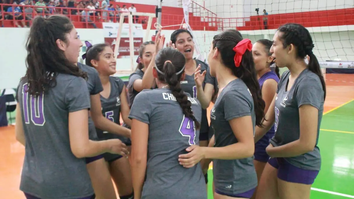 Chihuahua voli de sala