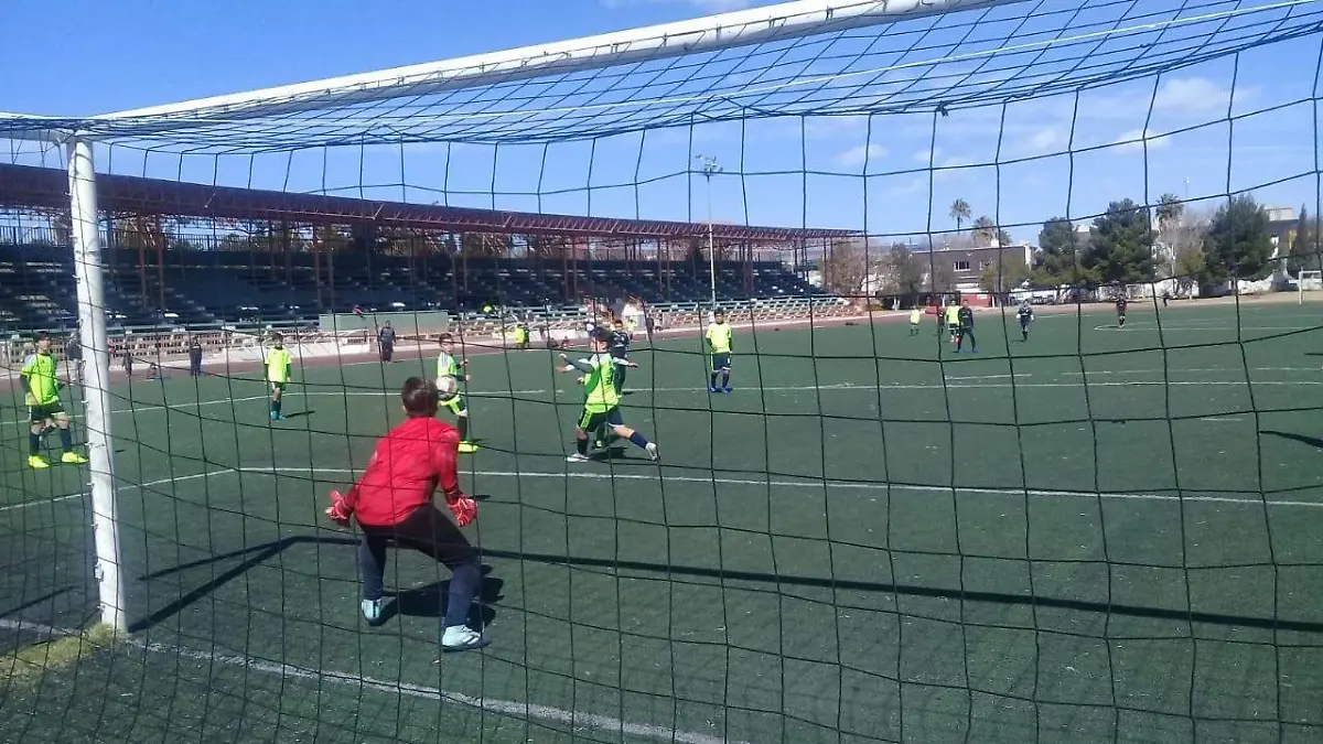 byn accion